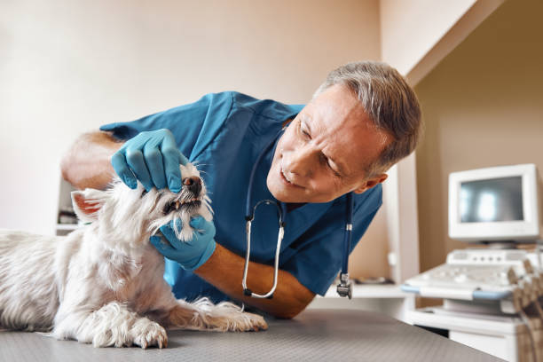 Best Emergency Root Canal Treatment in Columbia, PA